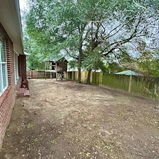 Say-Goodbye-to-Leaves-Debris-Crestview-FL 2